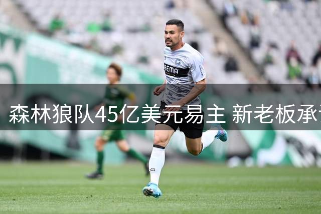 森林狼队45亿美元易主 新老板承诺保持现有发展策略