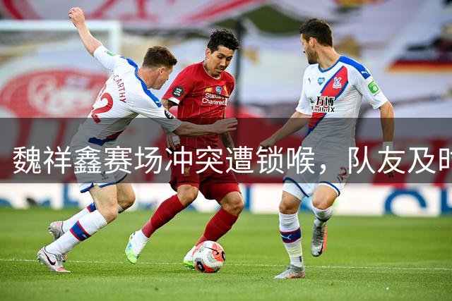 魏祥鑫赛场冲突遭锁喉，队友及时挺身相助